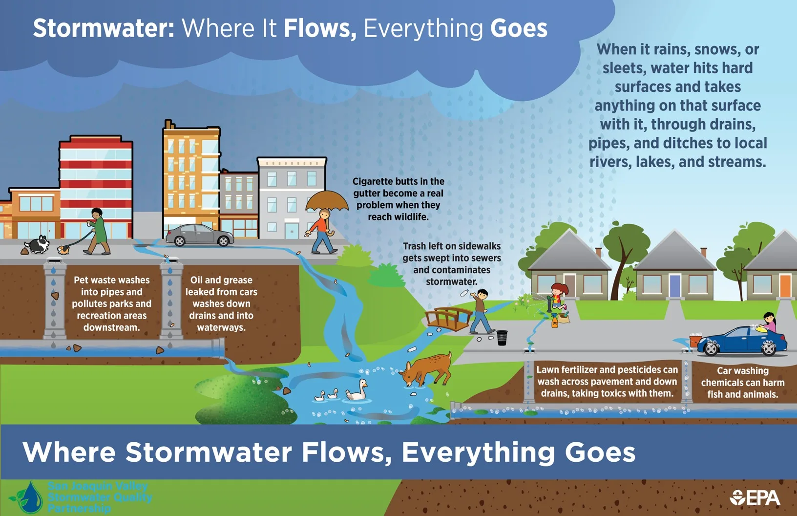 Infographic showing how rain carries pet waste, oil, litter, fertilizer, and car-wash chemicals down storm drains to local waterways.