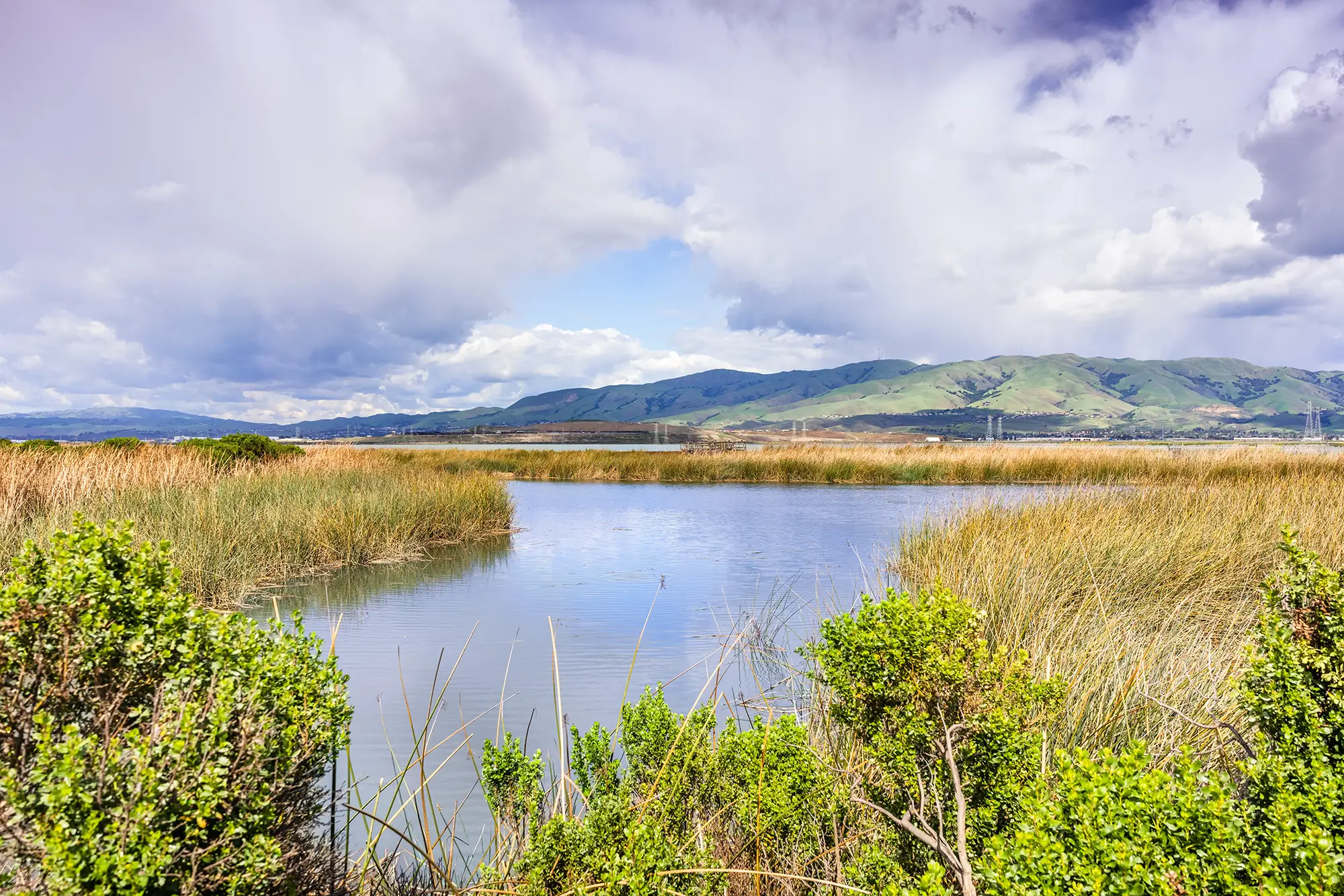 Restored tidal marshland with open water and hills in the South San Francisco Bay.